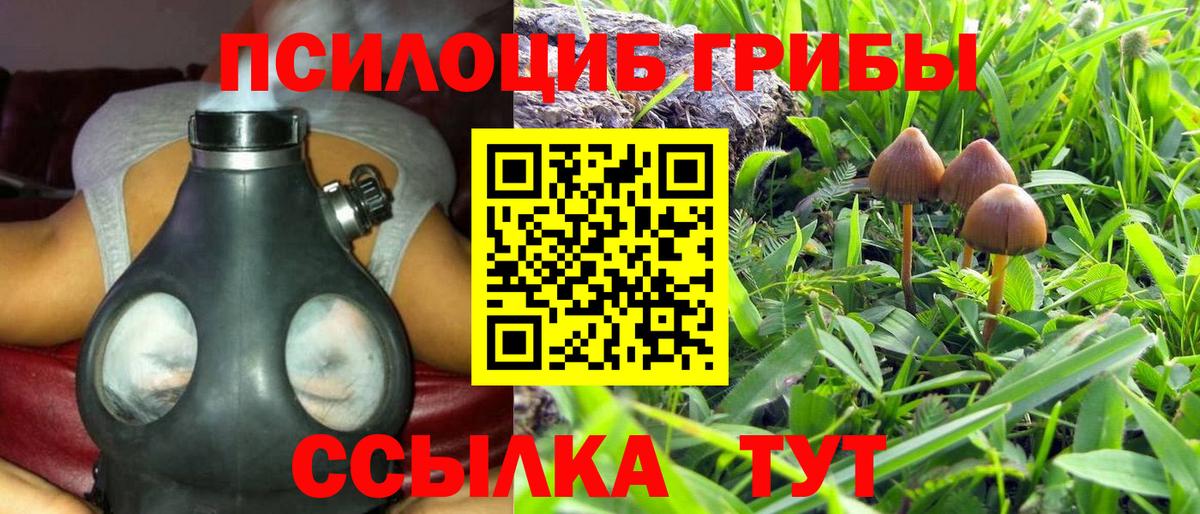 Красноуфимск  хочу   Псилоцибиновые грибы Psilocybine cubensis  Вход с VPN  Псилоцибиновые грибы ЛСД 